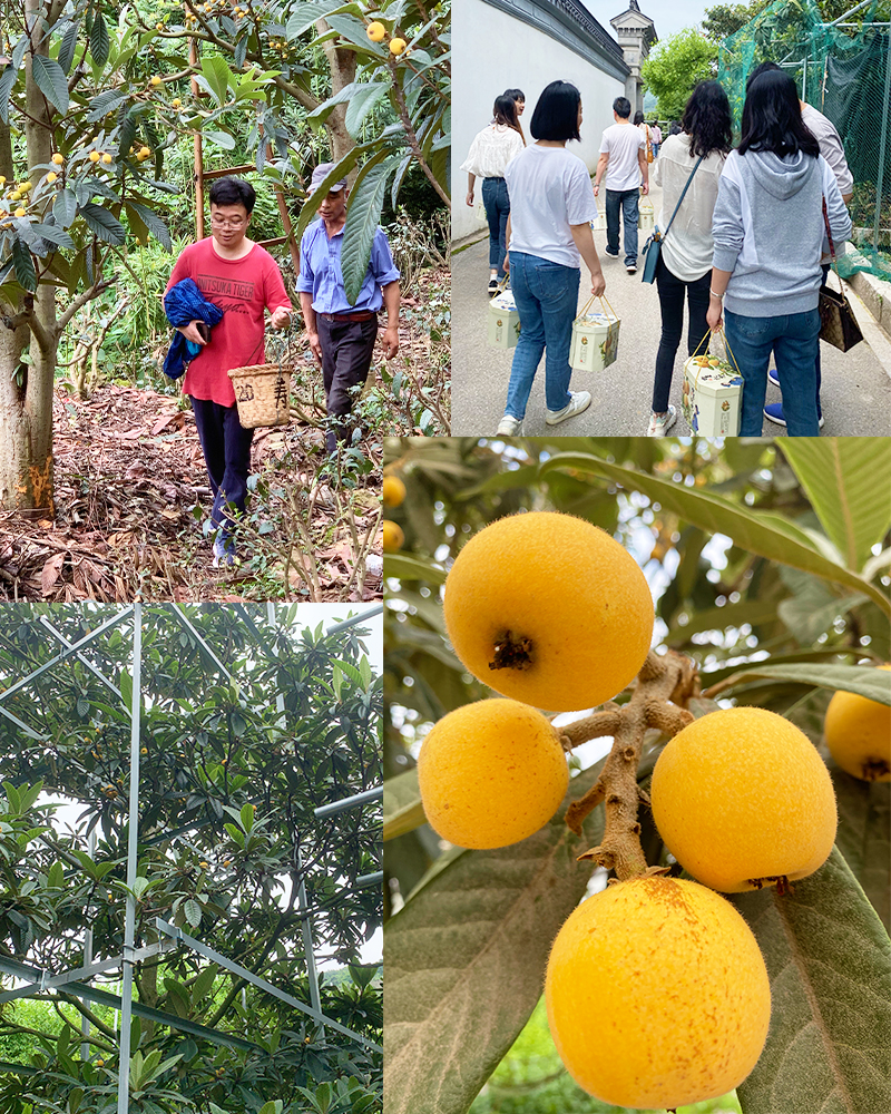 1685512016606933.jpg 未標題-1.jpg