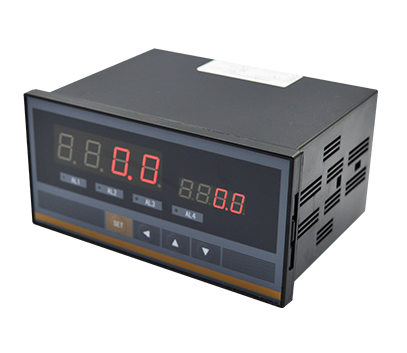 WPD2W雙通道數顯表