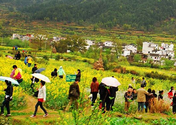 恣（zì）雅保潔-婺源三尋遊玩